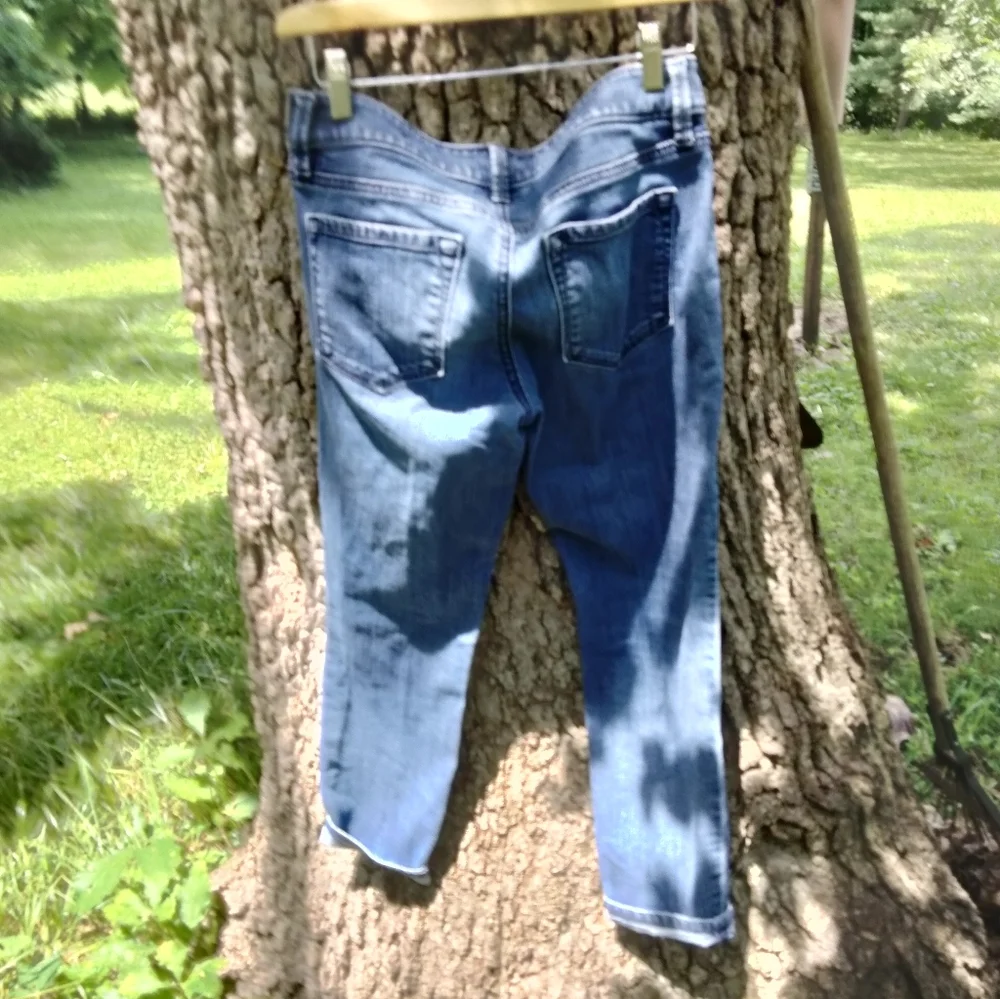 ⬇️Price Drop!⬇️ Ann Taylor Ankle Jean in size 2 - Picture 2 of 4